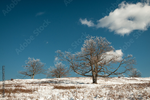 Snow in the mountains of Virginia photo