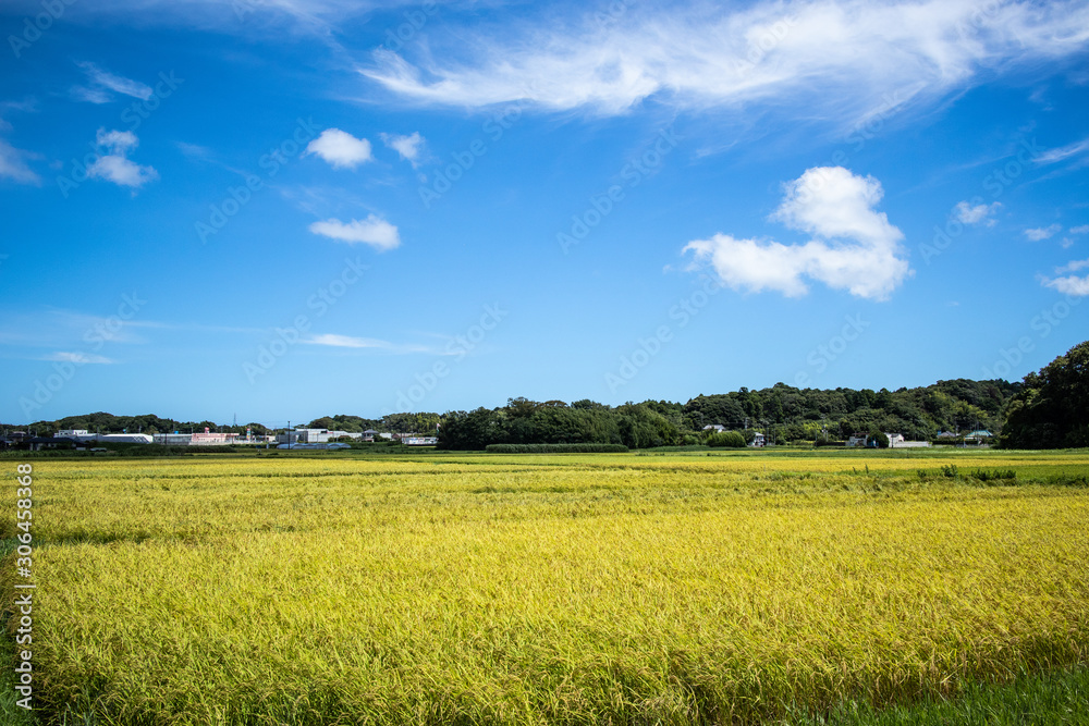 Chiba Prefecture, Minami Boso, Summer countryside