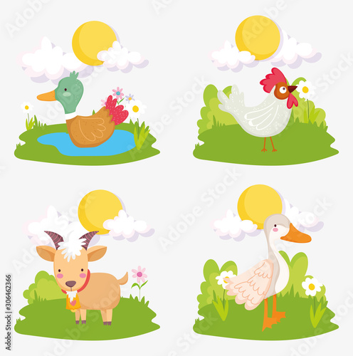 duck rooster goat grass sun farm animals