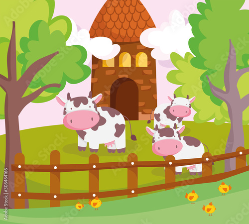 cows behind wooden fence and barn farm animals