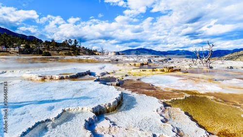 Crystal Clear Blue Water and Brown Bacteria Mats created by cyanobacteria in the water of the Travertine Terraces formed by Geysers at Mammoth Hot Springs in Yellowstone National Park, Wyoming, USA