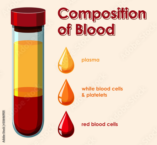 Diagram showing composition of blood