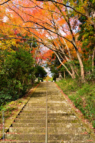 View of Okusan-ji temple in Japan in autumn season