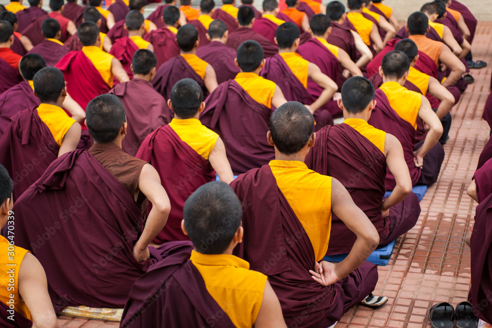 Photography Buddhist Monks reading scripture in a monastery.