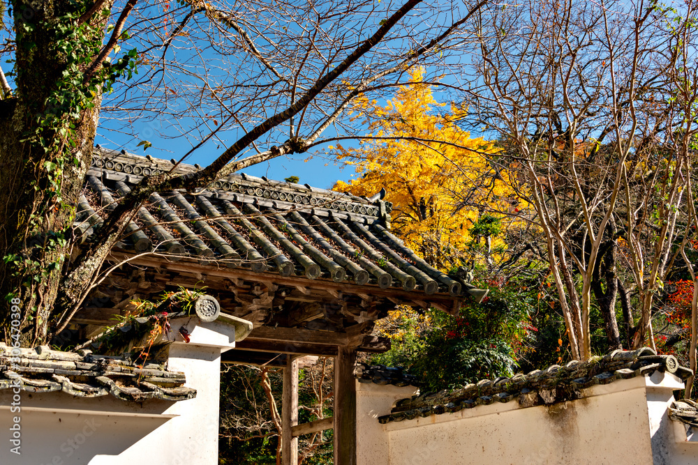 Φωτογραφία View of Okusan-ji temple in Japan in autumn season