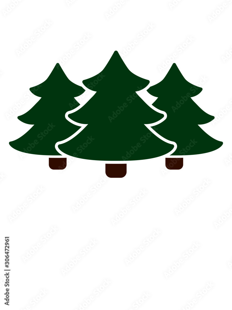 Fototapeta premium Nadelwald Winter Design 