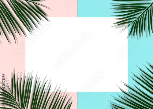 Palm leaves decorated on the soft pastel color background © dharmapocan