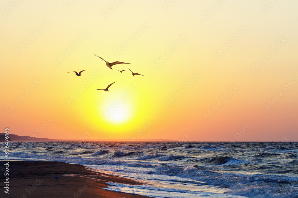 Naklejka premium Beautiful evening sunset on the sea. Summer seascape