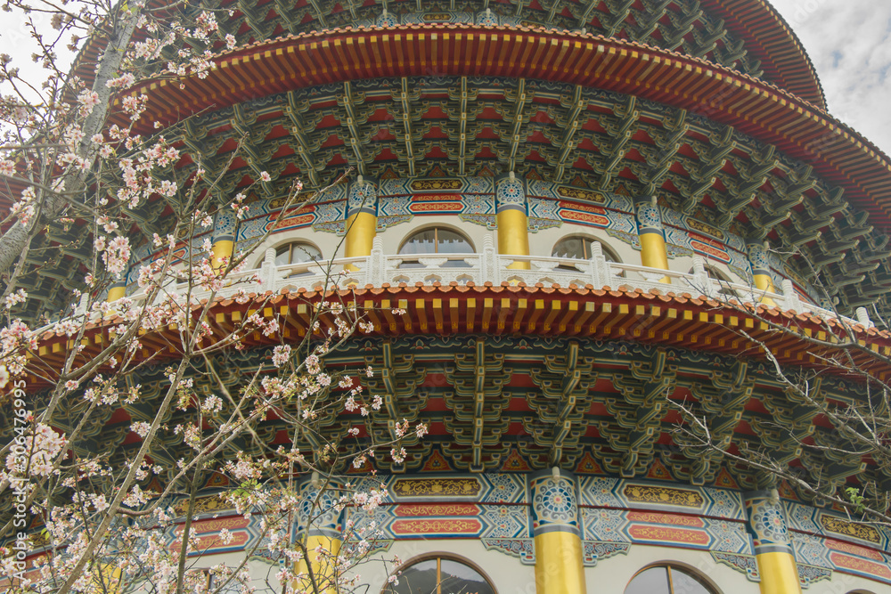 Obraz premium Cherry blossoms are in full bloom at Tianyuan temple, Taipei, Taiwan