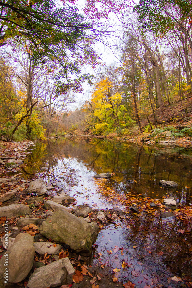 Fall Leaves and Trees Reflecting on Stream Fall Leaves and Trees Reflecting on Stream
