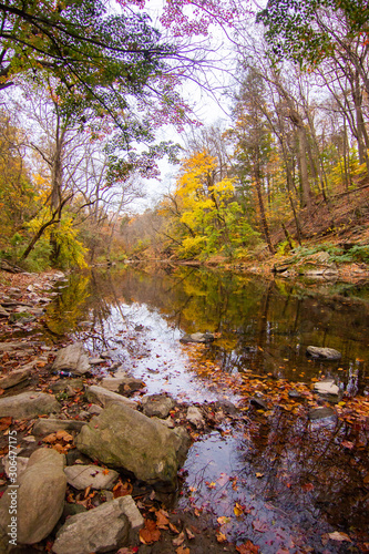 Fototapeta Naklejka Na Ścianę i Meble -  Fall Leaves and Trees Reflecting on Stream