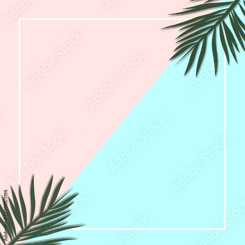 Palm leaves decorated on the soft pastel color background