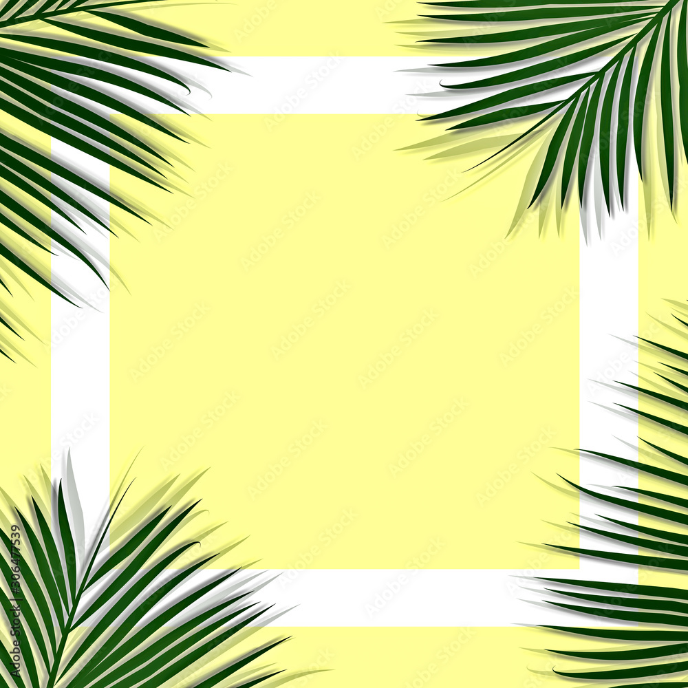 Palm leaves decorated on the soft pastel color background