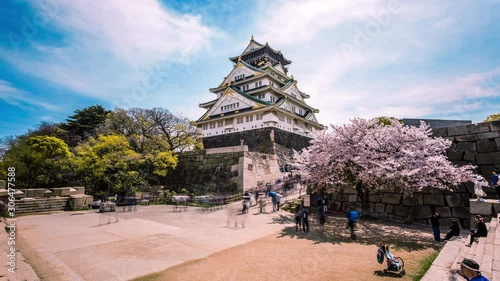 People visiting Osaka Castle during cherry blossom, Hanami Festival season time lapse