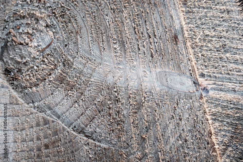 Fototapeta premium Wood texture,woodcut circular section with annual rings ,natural background.