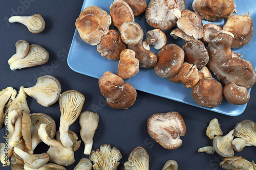 Top view of mixture of raw and fresh 'Pleurotus Ostreatus' oyster mushrooms and 'Lentinula Edodes' Shiitake mushrooms
