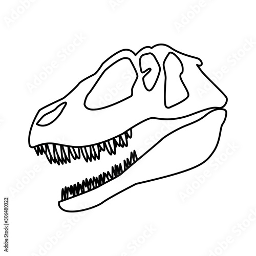 dinosaur skull on white background