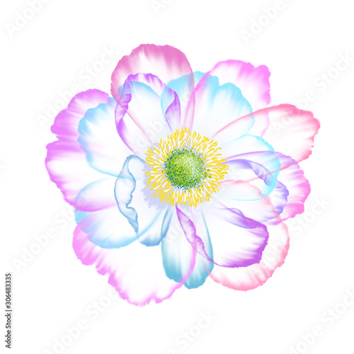  Transparent peony floral set   can be used  floral poster  invite. Decorative greeting card or invitation design background
