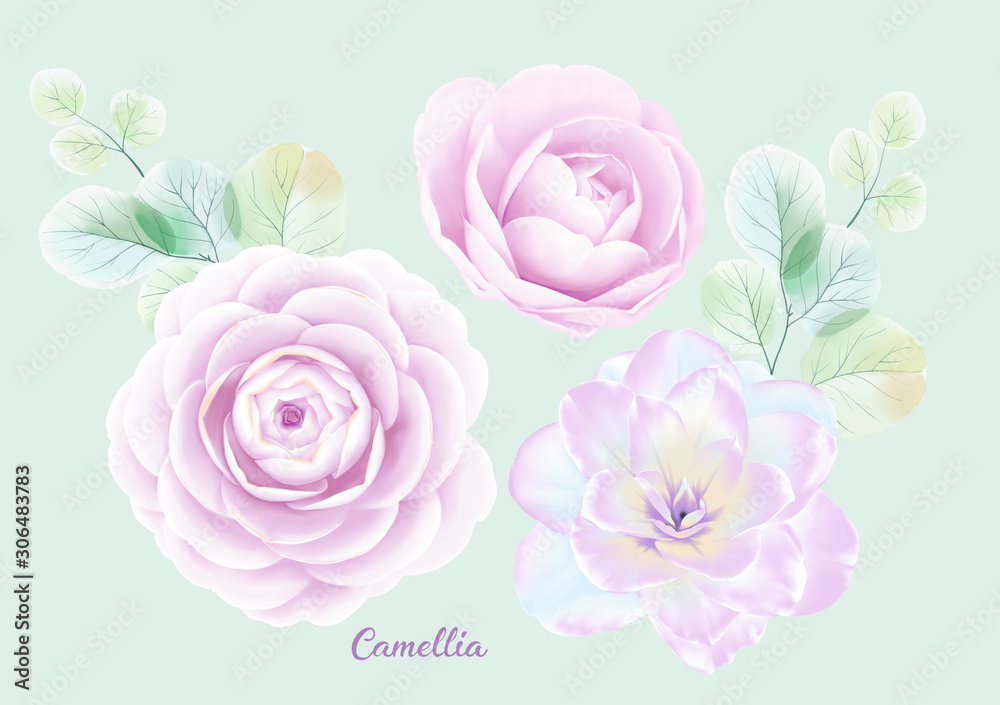 Set of card with flower camellia, leaves. Wedding ornament concept. Floral poster, invite.Decorative greeting card or invitation design background Set of card with flower camellia, leaves. Wedding ornament concept. Floral poster, invite.Decorative greeting card or invitation design background