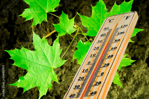 Crop concept, thermometer on a background of green leaves