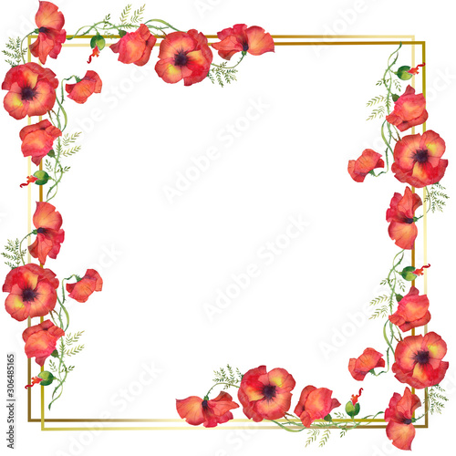 square golden frame with red poppies illustration of watercolor
