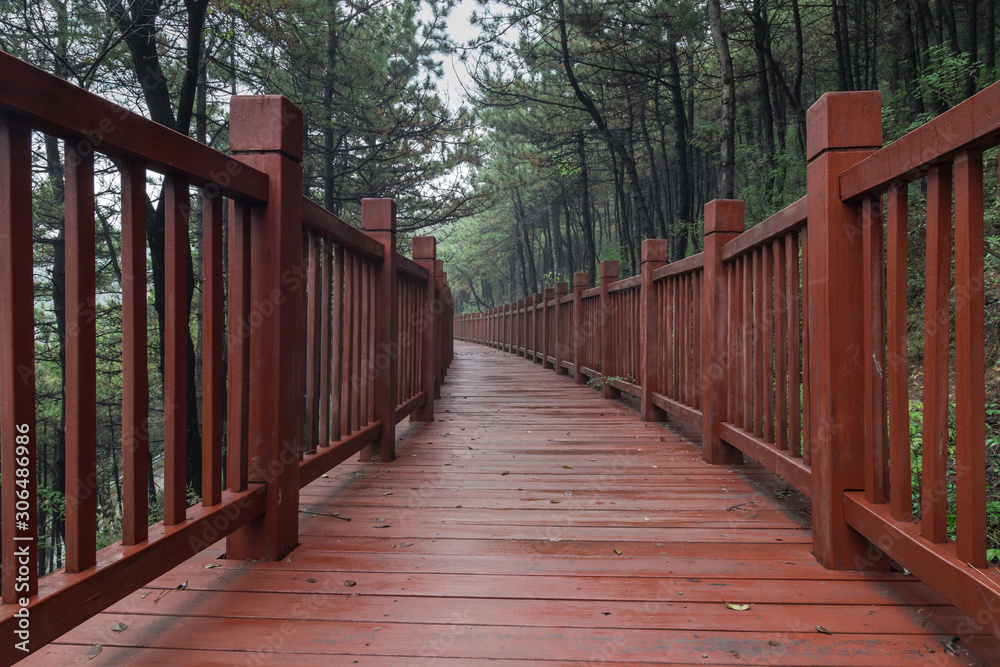 A boardwalk made of red wood in a forest