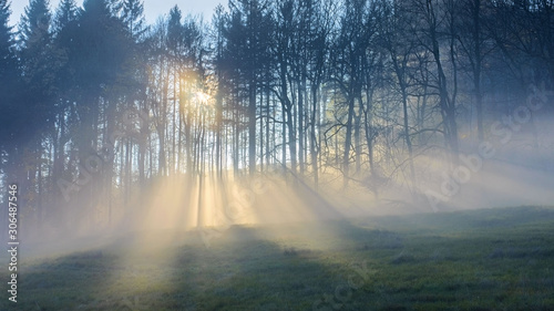 Sonnenstrahlen im Nebel scheinen durch den Wald - Sunbeams in the mist shine through the trees