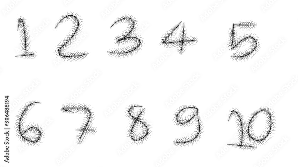 Obraz premium grass flower set of number in black and white background