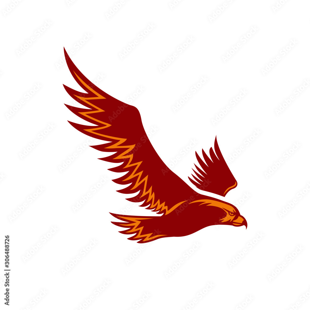 Obraz premium falcon