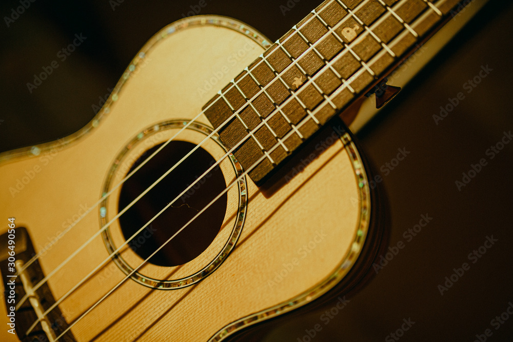 Obraz premium ukulele