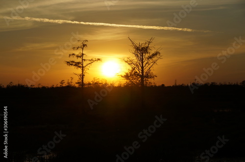 sunset in the swamp