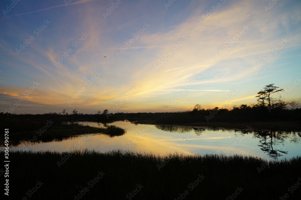 Fototapeta premium sunset in the swamp