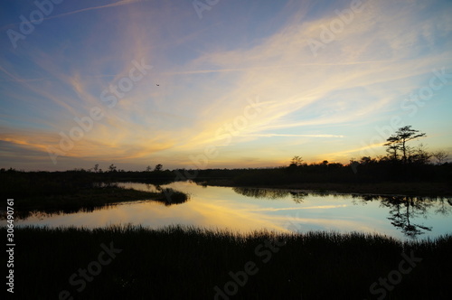 sunset in the swamp