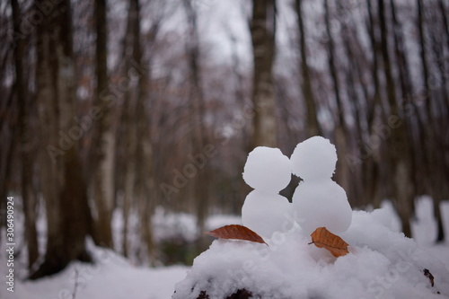 晩秋から初冬へ。ブナ林の雪だるまカップル
