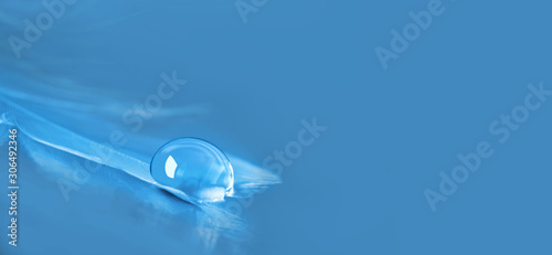water drop on bird feather or plume closed up beautiful blue abstract background
