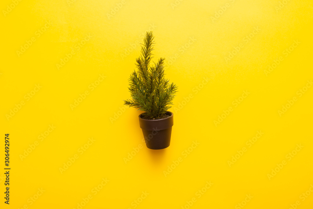 green plant in light bulb