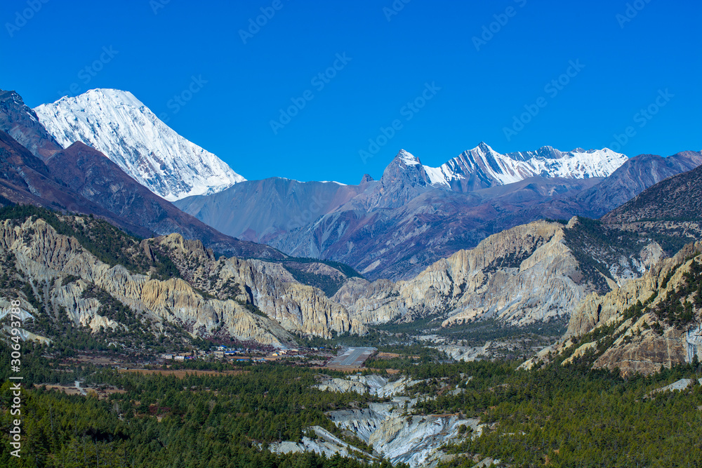 Landscape view of pine forest and mountains at background, Annapurna Conservation Area, Nepal