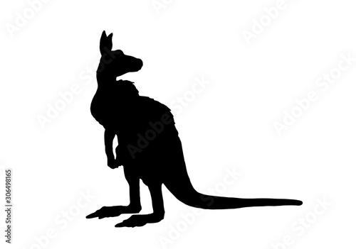 Graphical silhouette of kangaroo isolated on white background,vector illustration