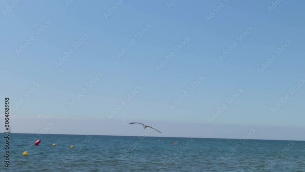 A super slow motion capture of a seagul flying towards the clear blue Mediterranean Sea in south spain A super slow motion capture of a seagul flying towards the clear blue Mediterranean Sea in south spain