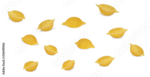 pasta shells, macro focus stacking, isolate on white.Entire image in sharpness.