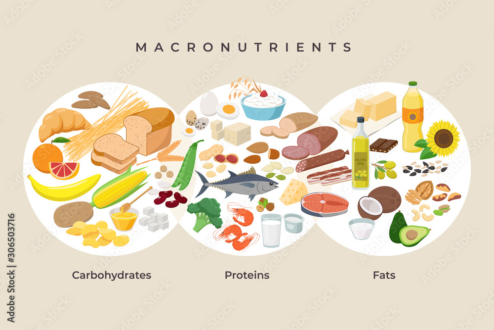 Main food groups - macronutrients. Carbohydrates, fats and proteins in  comparison, foods icons in flat design isolated. Dieting, healthy eating  concept. MacroVector illustration, infographic elements. Stock Vector |  Adobe Stock