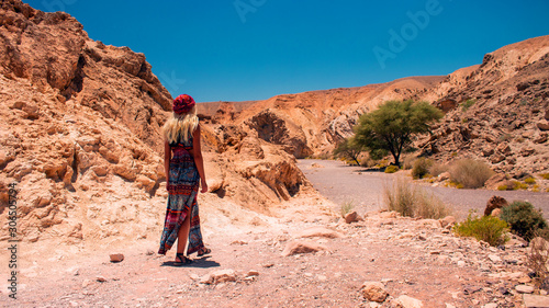 Ukrainian girl in long dress back to camera walking in Negev Israeli desert canyon sand stone warming landscape scenic view environment 