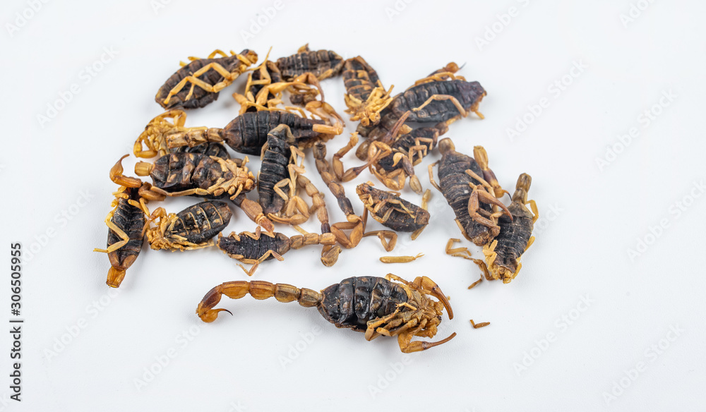 Chinese medicine medicinal scorpion on white background Chinese medicine medicinal scorpion on white background