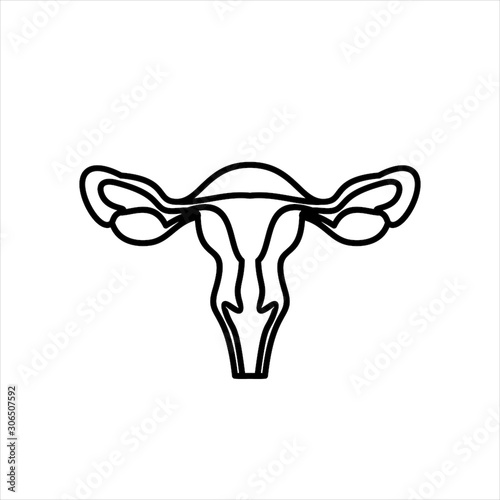 Human organs. Female uterus icon.