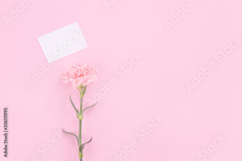 Beautiful  fresh elegant carnation flower bouquet with white greeting thanks gift card isolated on bright pink color background  top view  flat lay concept.