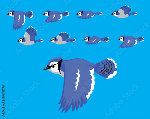 Stampa su tela Animal Animation Sequence Blue Jay Flying Cartoon Vector
