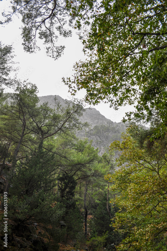 Mountainous area with beautiful views of nature and vegetation, trees and stones