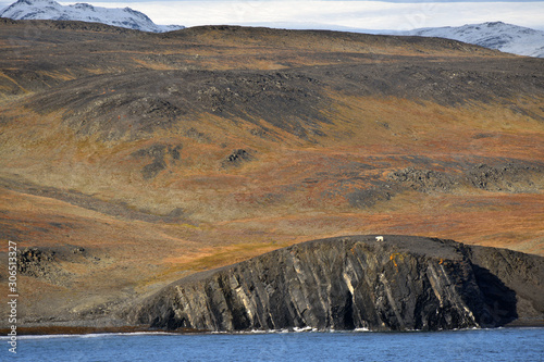 Arctic, Kara Sea, Russia, Novaya Zemlya photo