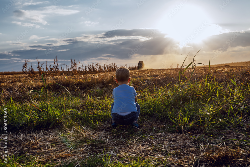Little cute farmer boy crouching on corn field and looking at field. In background is harvester harvesting. Back lit.