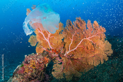 Fototapeta Naklejka Na Ścianę i Meble -  Plastic Pollution - a discarded plastic bags drifts across a tropical coral reef in Asia
